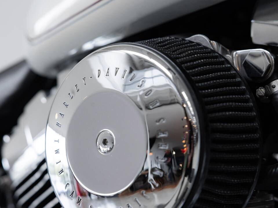 Image 34/34 of Harley-Davidson DUMMY (2002)