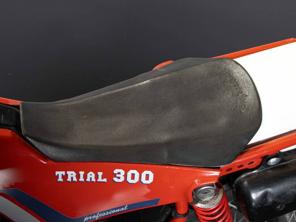 Immagine 36/41 di Fantic Trial 300 (1984)