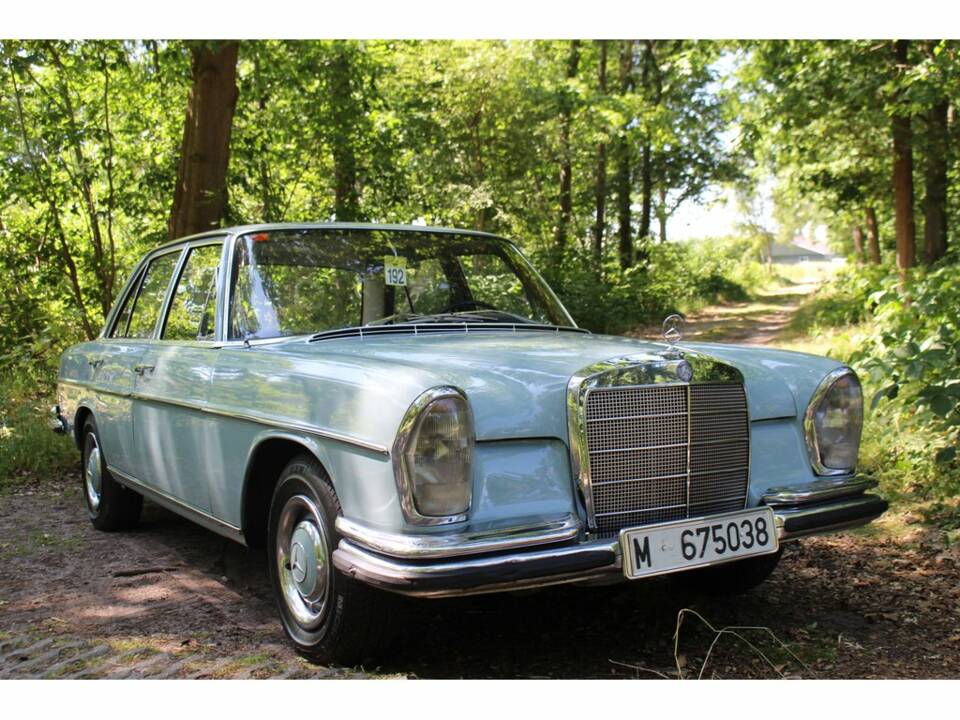 Afbeelding 3/8 van Mercedes-Benz 250 SE (1968)