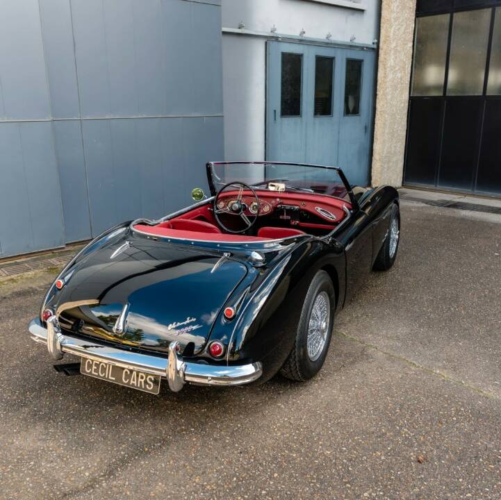 Afbeelding 13/23 van Austin-Healey 3000 Mk I (BN7) (1962)