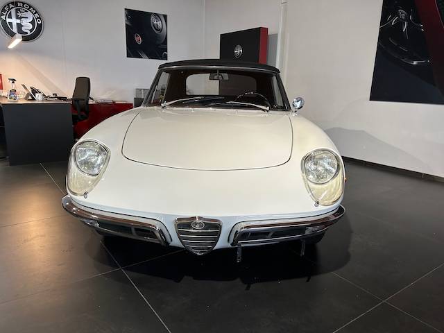 Bild 3/24 von Alfa Romeo 1300 Spider Junior (1968)