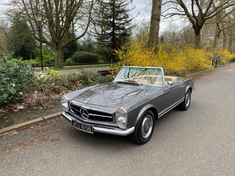 Image 48/50 de Mercedes-Benz 280 M-SL (1964)