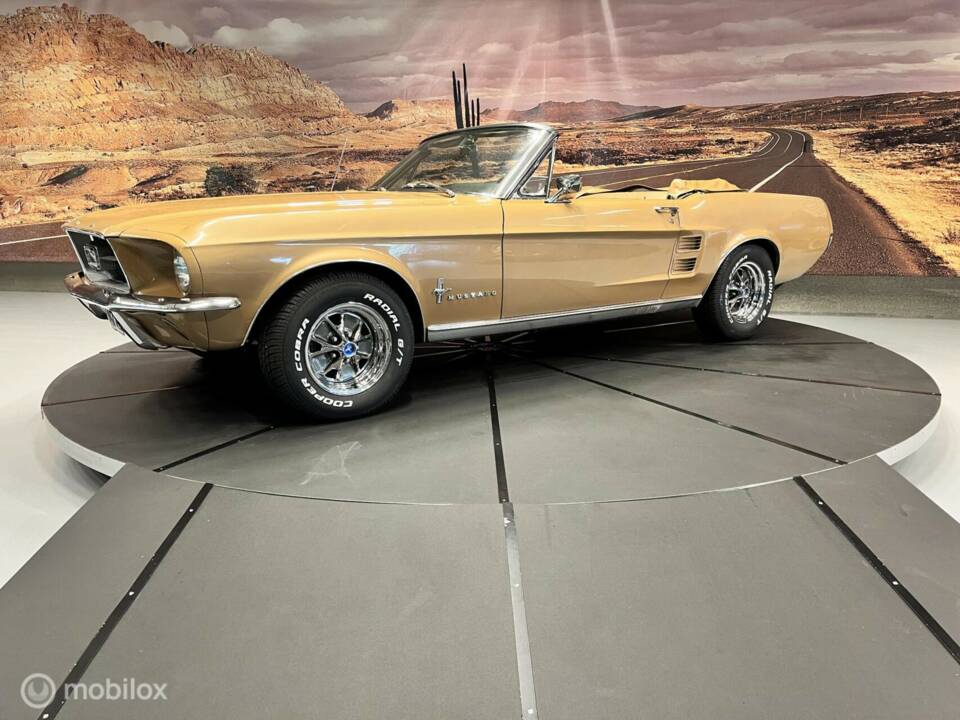Immagine 9/46 di Ford Mustang 390 (1967)