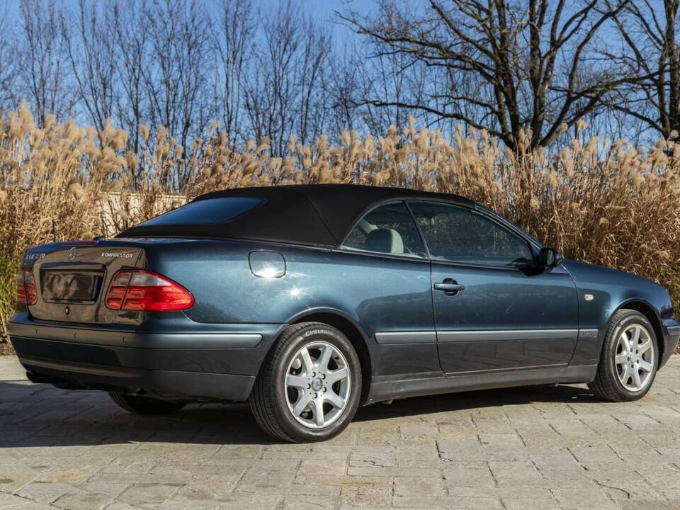 Bild 7/50 von Mercedes-Benz CLK 230 Kompressor (1999)