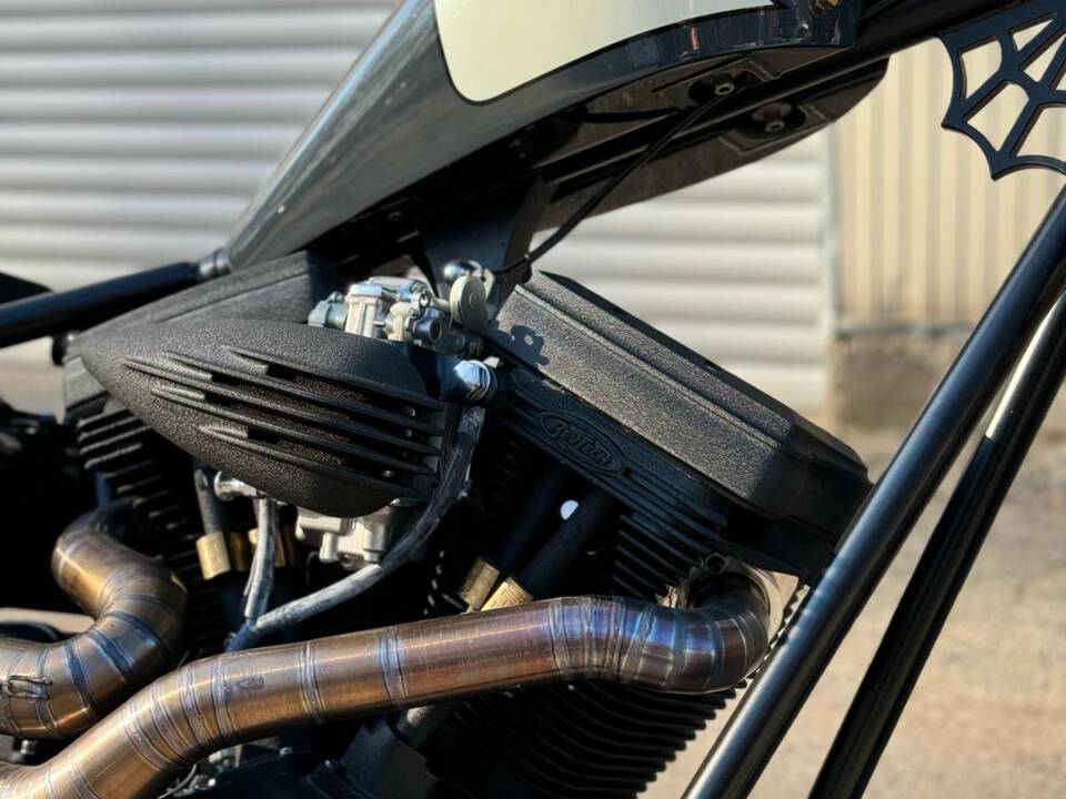 Imagen 12/60 de Harley-Davidson DUMMY (2017)