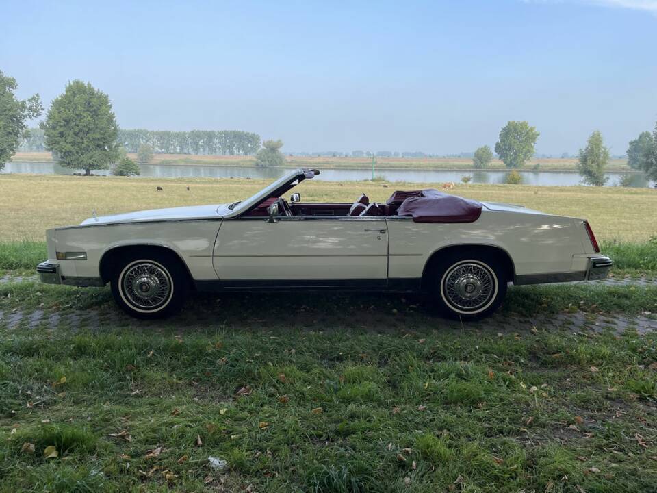 Image 6/8 of Cadillac Eldorado Biarritz Convertible (1984)