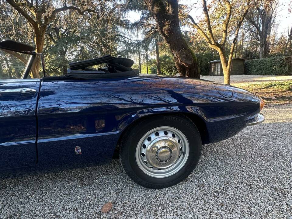 Image 5/14 of Alfa Romeo 1300 Spider Junior (1969)