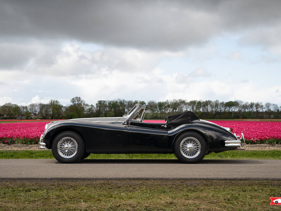 Afbeelding 4/47 van Jaguar XK 140 DHC (1956)