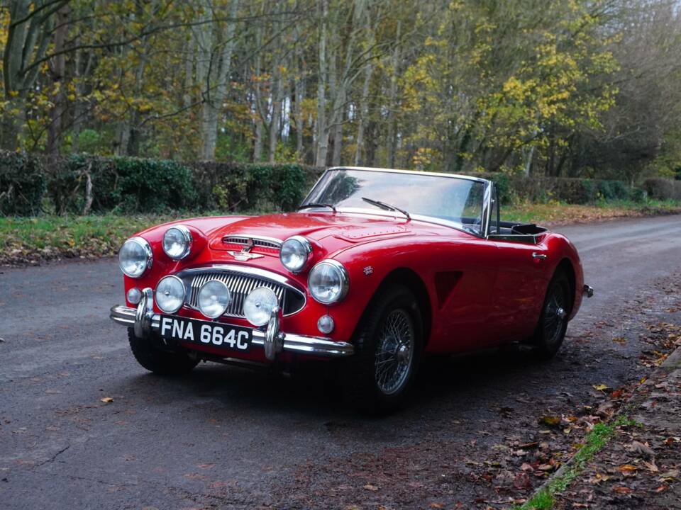 Immagine 3/18 di Austin-Healey 3000 Mk III (BJ8) (1964)