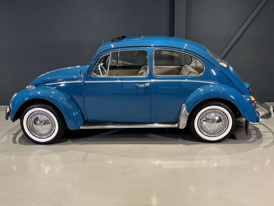 Bild 6/20 von Volkswagen Beetle 1200 A (1964)