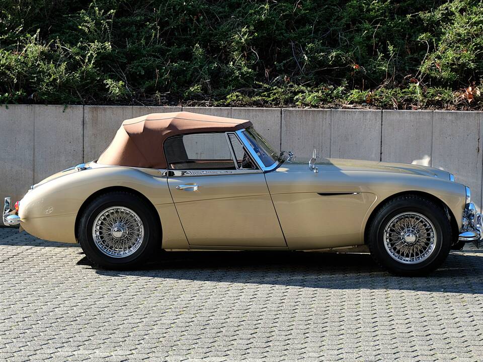 Image 10/68 of Austin-Healey 3000 Mk III (BJ8) (1965)
