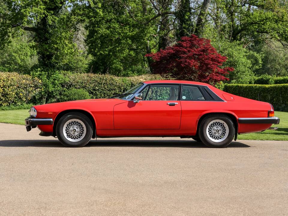 Image 12/43 of Jaguar XJS 5.3 V12 (1988)