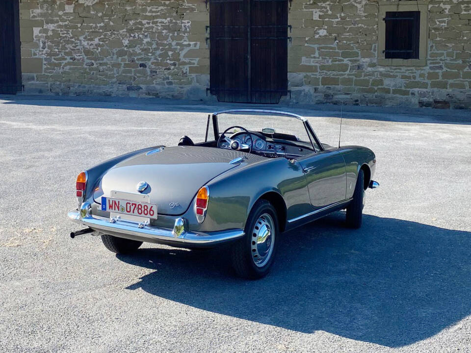 Imagen 11/68 de Alfa Romeo Giulia 1600 Spider (1964)