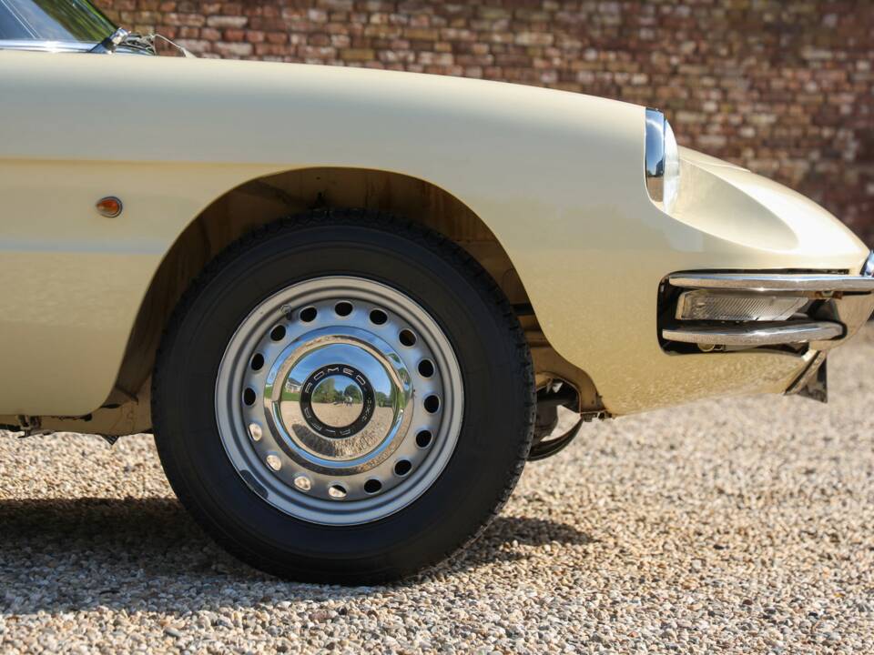 Image 45/50 of Alfa Romeo 1600 Duetto (1967)