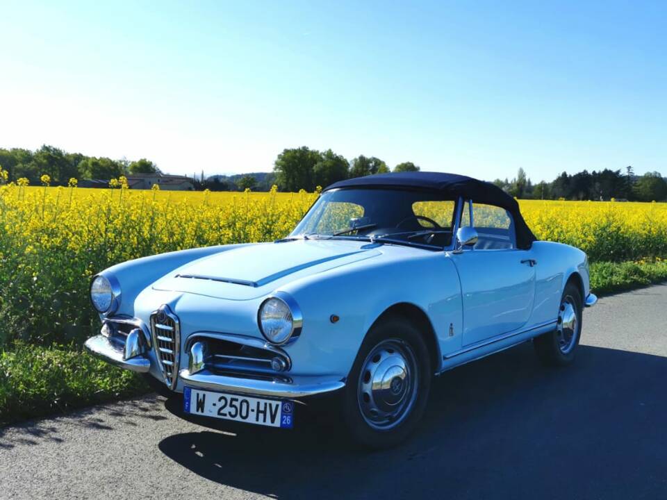 Bild 50/55 von Alfa Romeo Giulia 1600 Spider Veloce (1965)