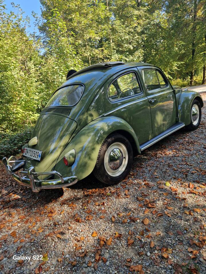 Bild 17/23 von Volkswagen Escarabajo 1200 (1960)