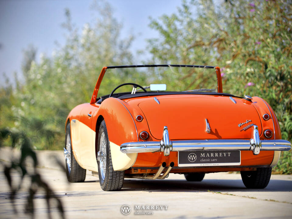 Immagine 35/40 di Austin-Healey 3000 Mk I (BN7) (1959)