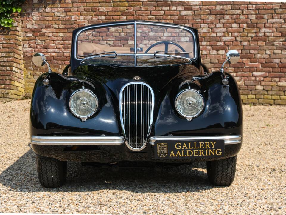 Immagine 29/50 di Jaguar XK 120 DHC (1953)