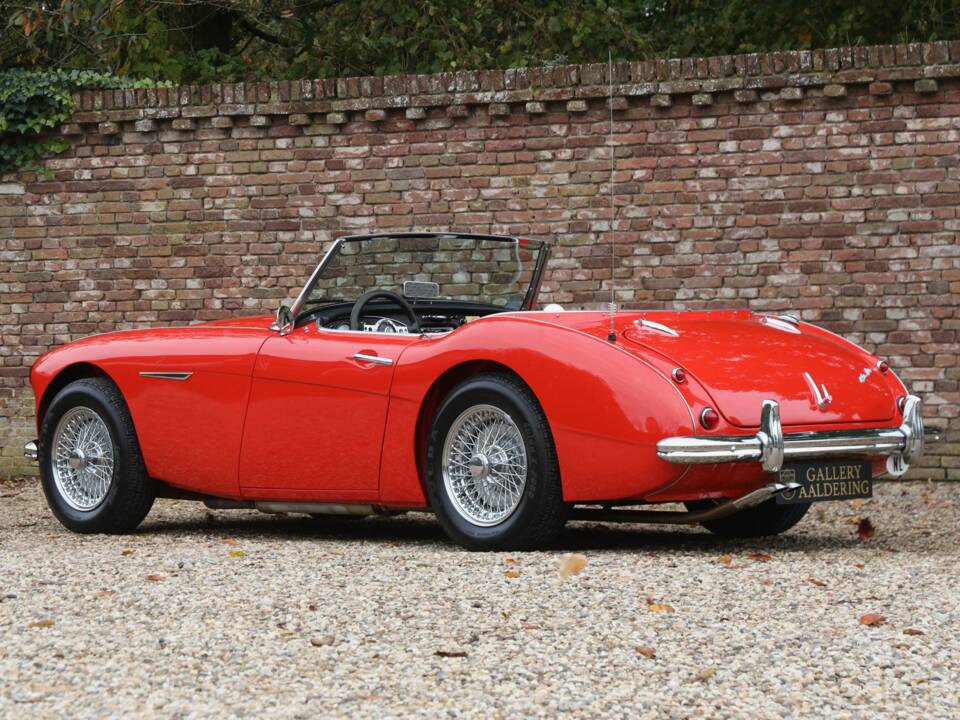 Image 26/50 de Austin-Healey 100/6 (BN4) (1959)