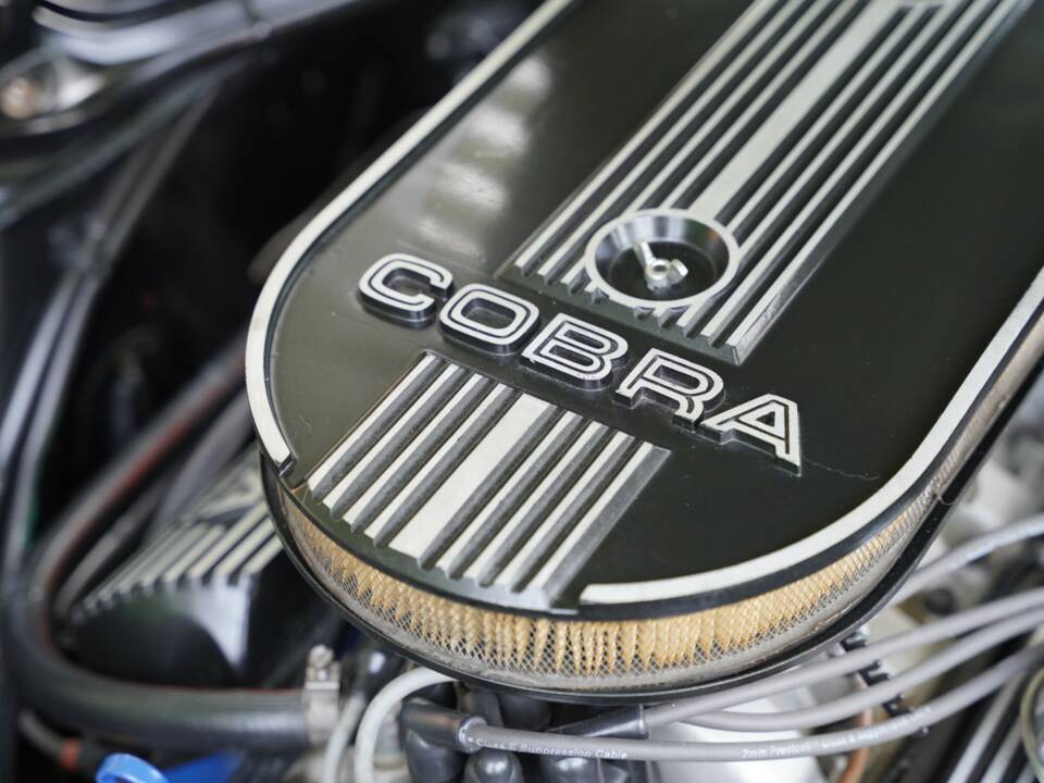 Afbeelding 14/50 van Ford Shelby GT 350 (1968)