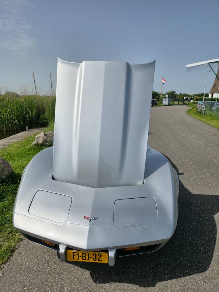 Bild 33/37 von Chevrolet Corvette 5.0L (1979)