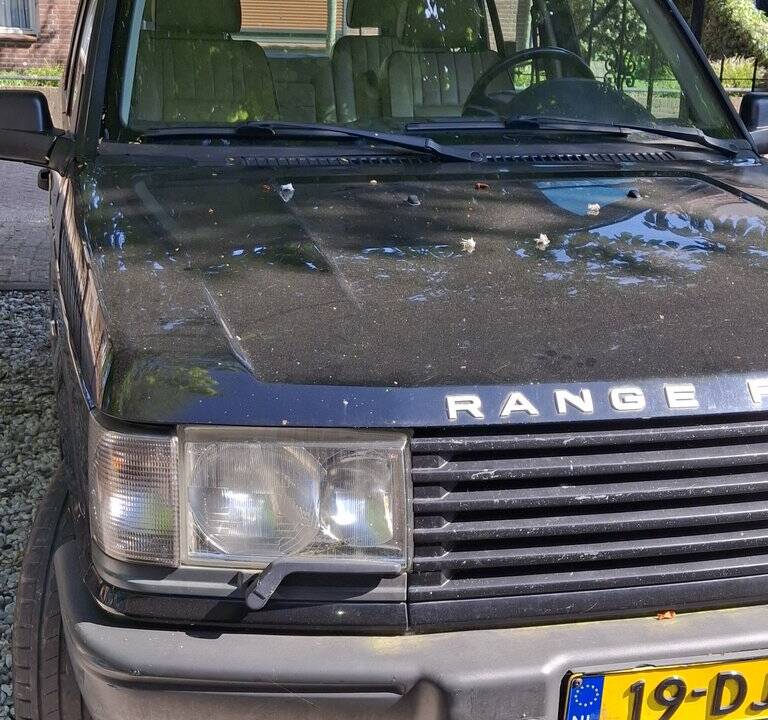 Immagine 3/8 di Land Rover Range Rover 4.6 HSE (1999)