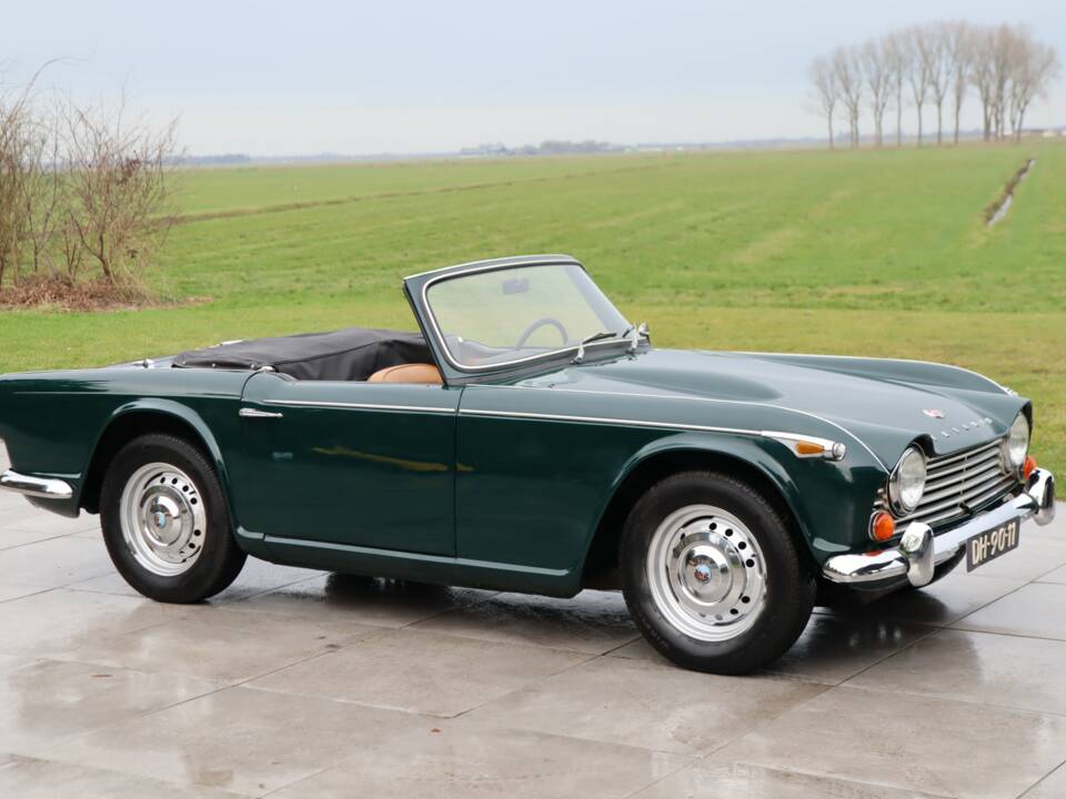 Bild 34/50 von Triumph TR 4A (1966)