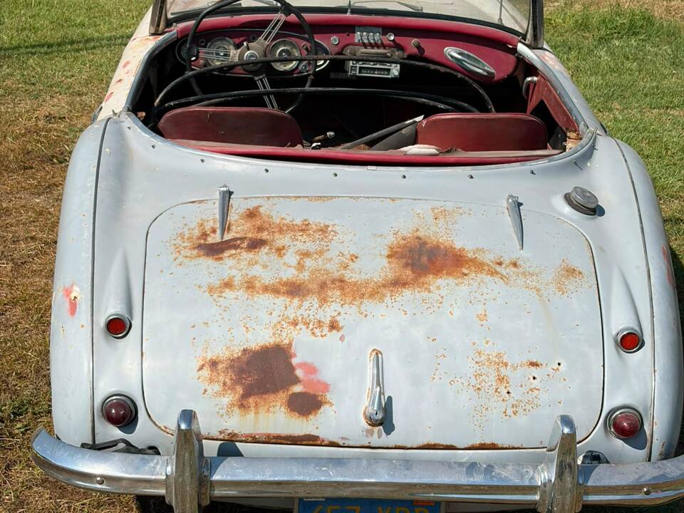 Bild 3/22 von Austin-Healey 3000 Mk II (BN7) (1960)