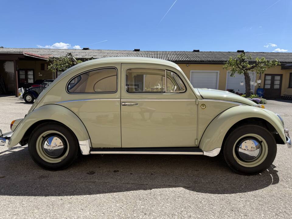 Image 3/25 de Volkswagen Coccinelle 1200 Export "Dickholmer" (1960)