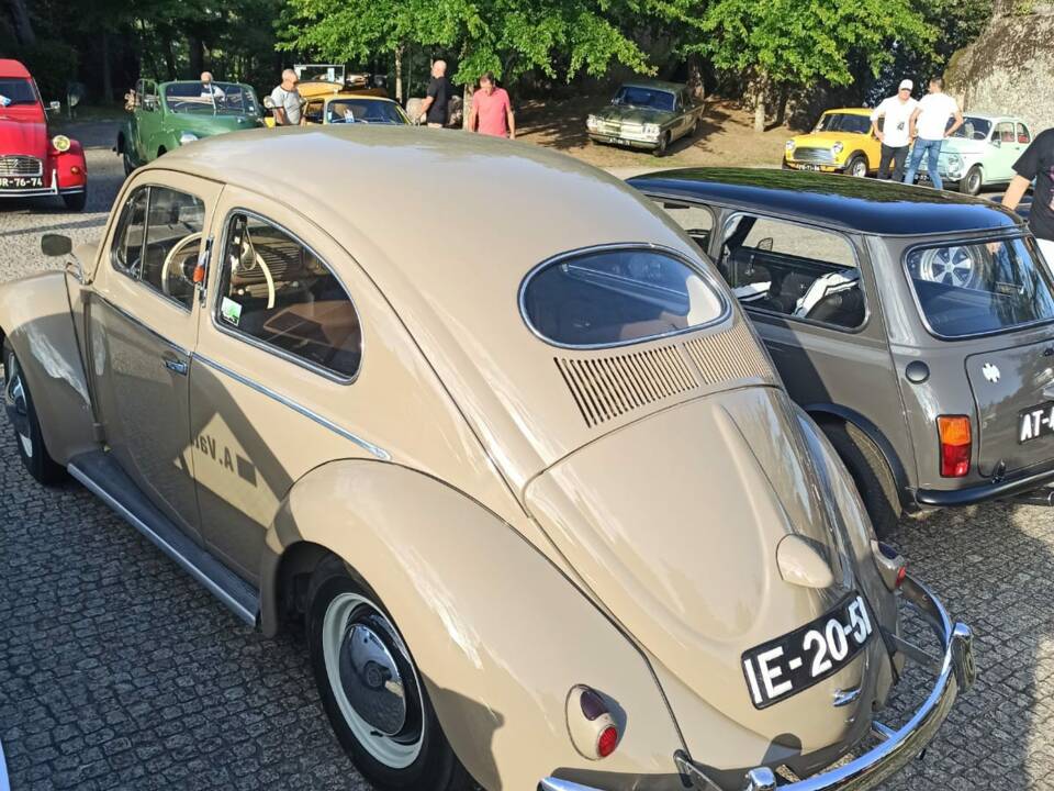 Immagine 55/56 di Volkswagen Maggiolino 1100 Standard "Ovali" (1954)