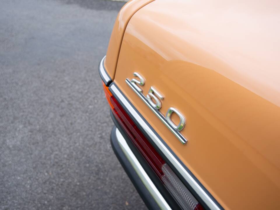 Image 31/32 of Mercedes-Benz 250 (1978)