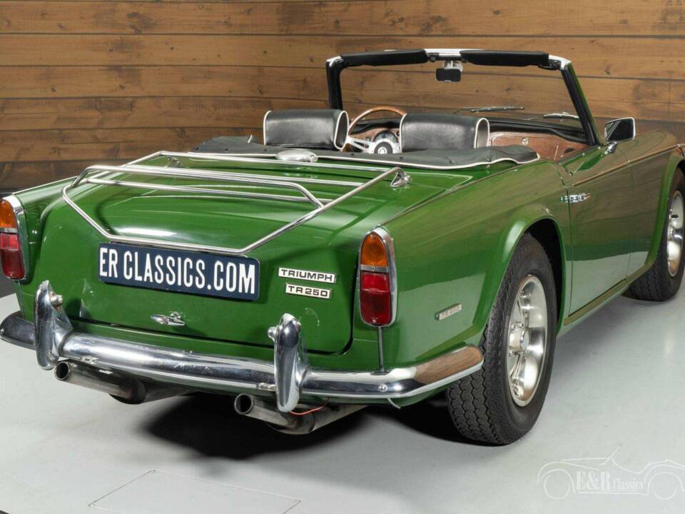Immagine 14/19 di Triumph TR 250 (1967)