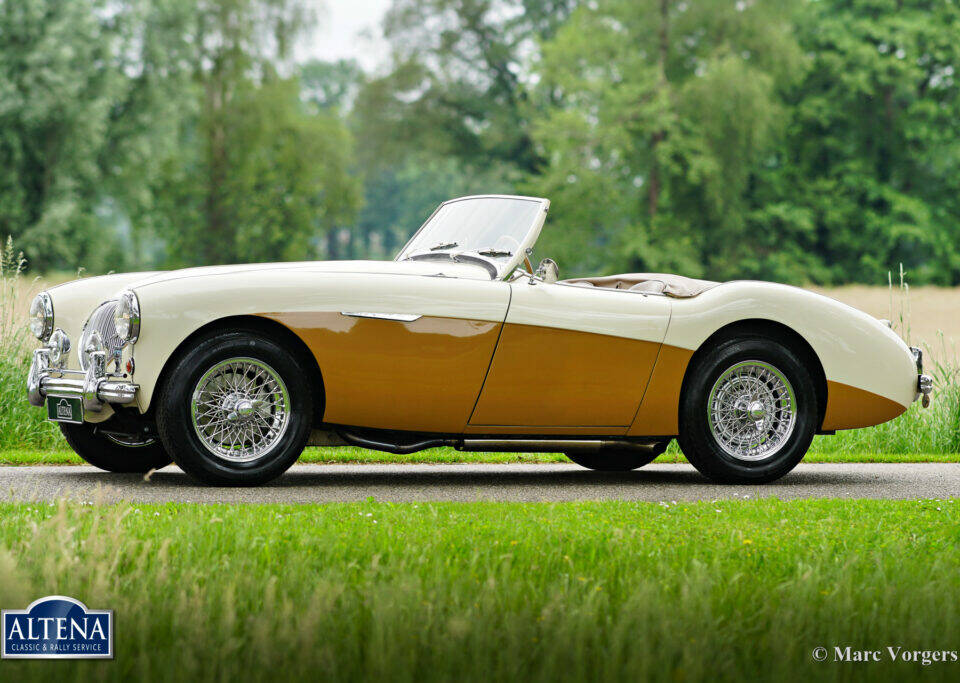 Bild 38/50 von Austin-Healey 100&#x2F;4 (BN1) (1955)