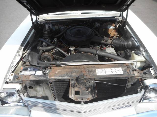 Image 17/22 of Buick Skylark Coupe (1976)