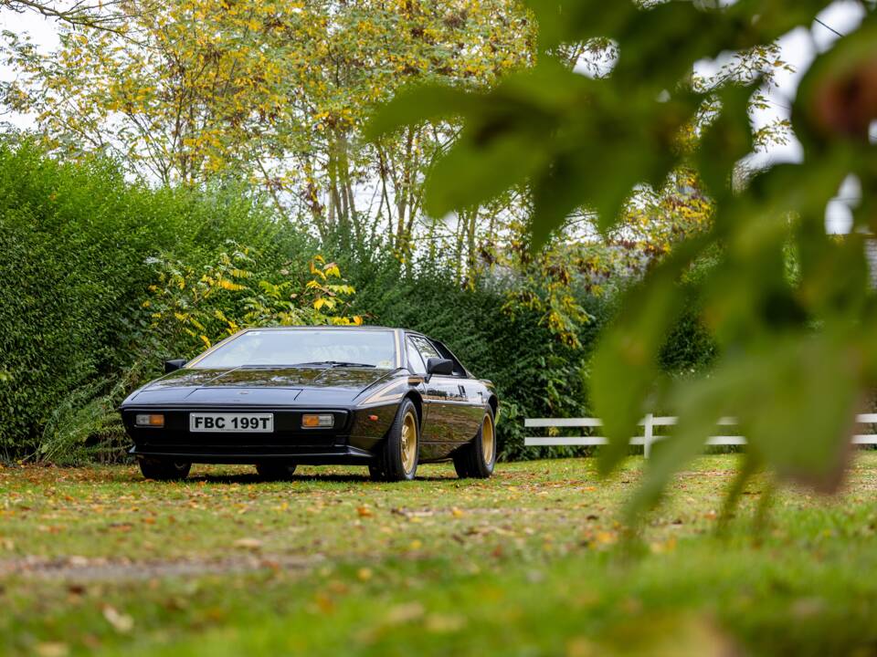 Immagine 13/50 di Lotus Esprit S2 (1979)