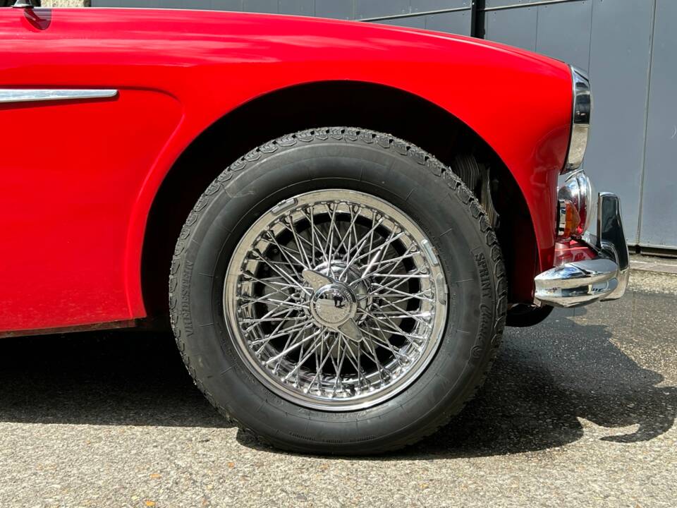 Immagine 4/29 di Austin-Healey 3000 Mk III (BJ8) (1966)