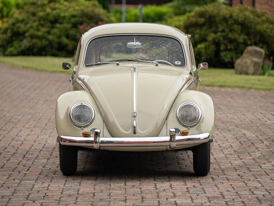 Bild 8/71 von Volkswagen Käfer 1200 Standard "Dickholmer" (1959)