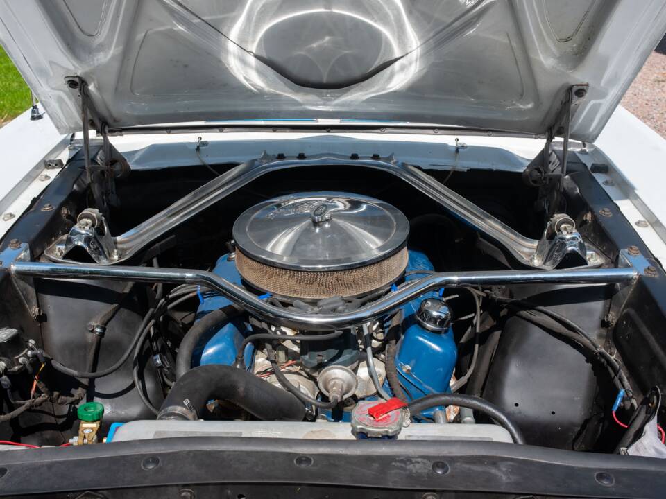 Image 29/54 of Ford Shelby GT 350 (1965)