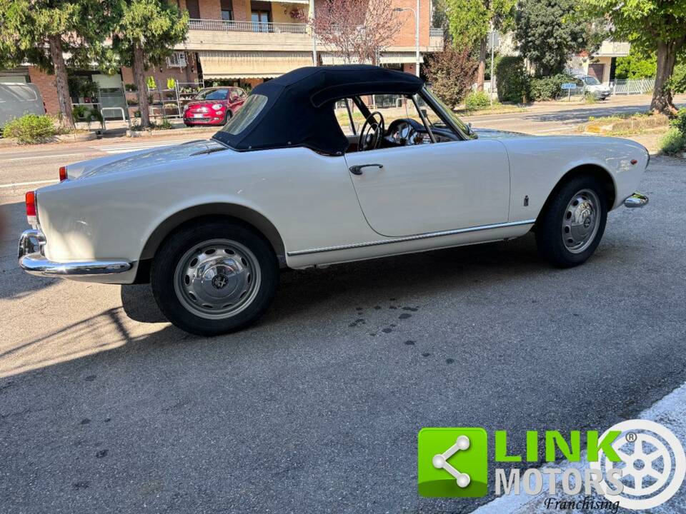 Immagine 7/10 di Alfa Romeo Giulietta Spider (1960)