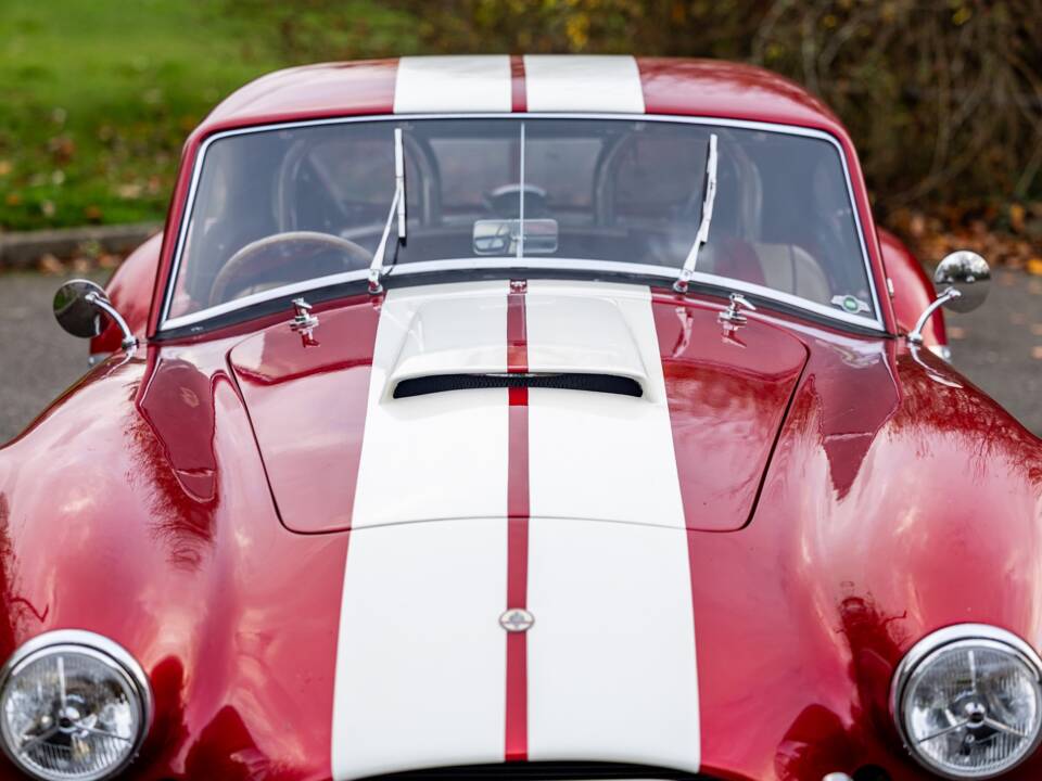 Afbeelding 29/50 van AC Cobra 289 (2000)