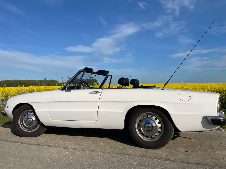 Bild 16/29 von Alfa Romeo Spider 1300 Junior (1971)