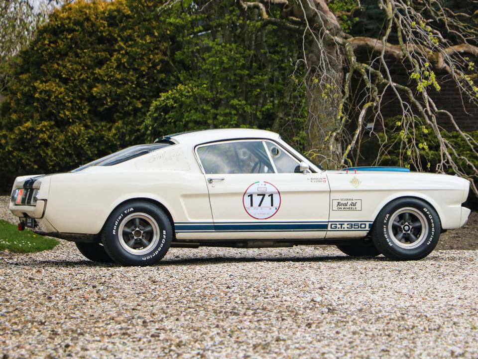 Image 5/31 of Ford Shelby GT 350 (1965)
