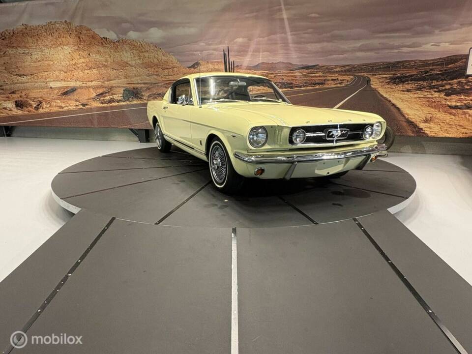 Bild 21/50 von Ford Mustang 289 (1965)
