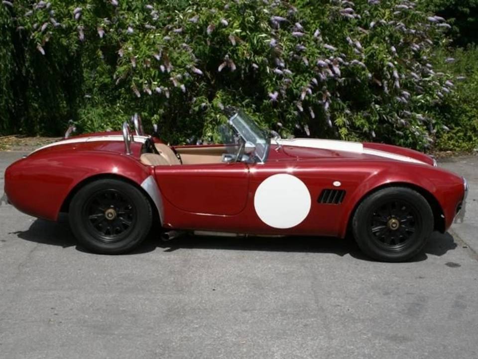 Image 8/10 of AC Cobra 289 (2007)