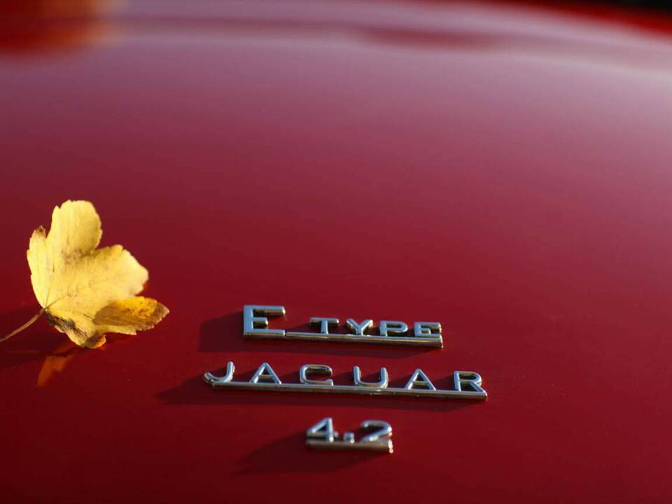 Image 8/12 de Jaguar E-Type 4.2 (1965)