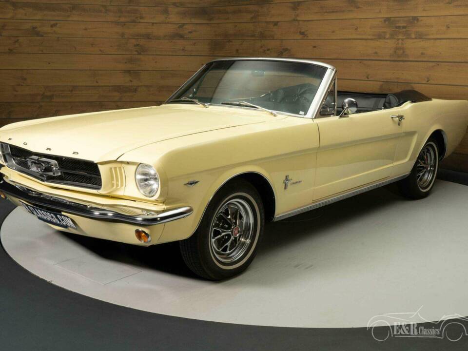 Bild 6/19 von Ford Mustang 289 (1965)