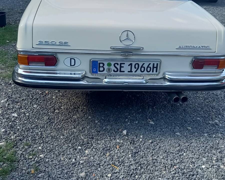 Image 4/16 of Mercedes-Benz 250 SE (1966)