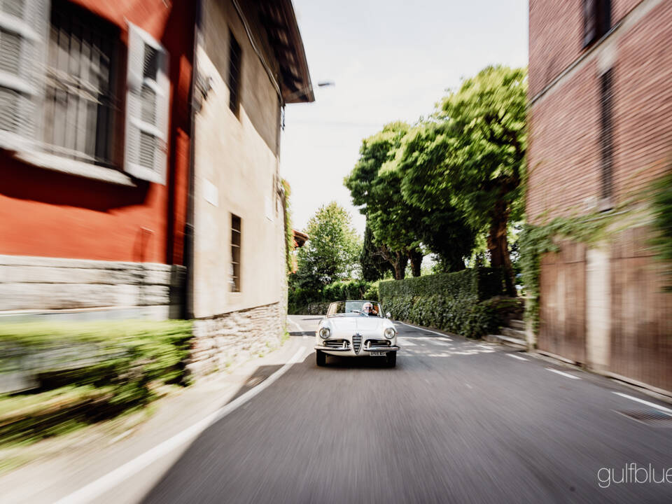 Image 21/71 de Alfa Romeo Giulietta Spider (1960)