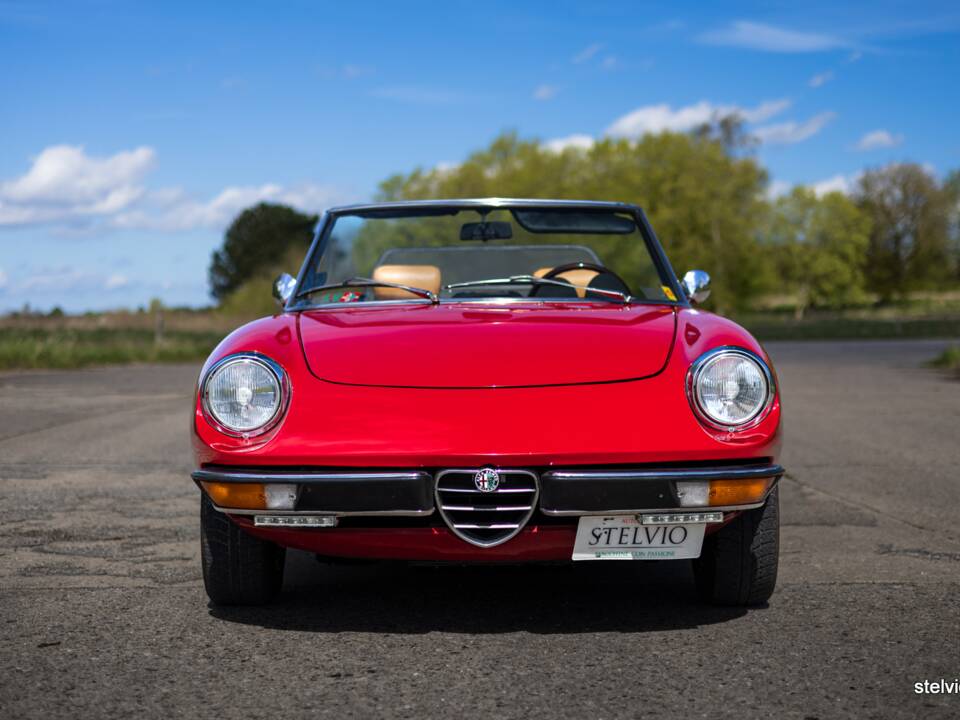 Afbeelding 18/42 van Alfa Romeo 2000 Spider Veloce (1980)