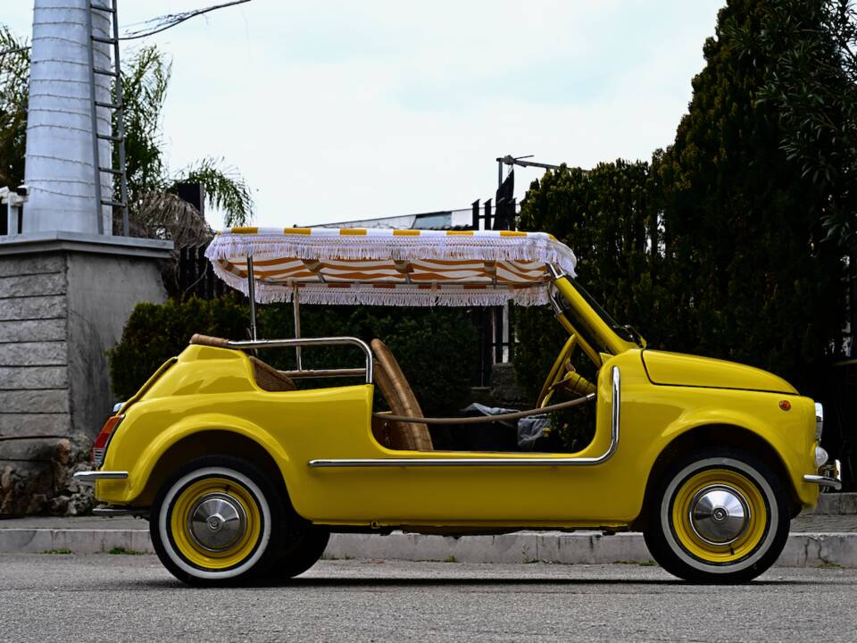 Image 38/45 of FIAT Ghia 500 Jolly (1971)